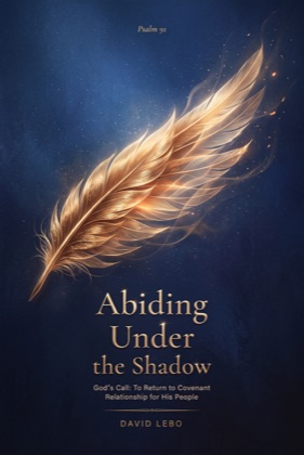 Abiding Under the Shadow